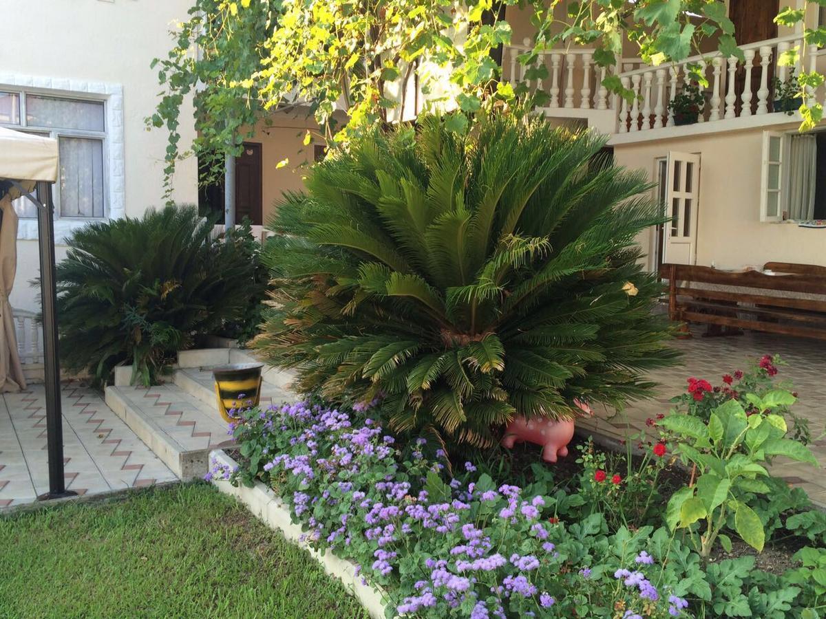 Guest House Liel Sukhumi Ngoại thất bức ảnh